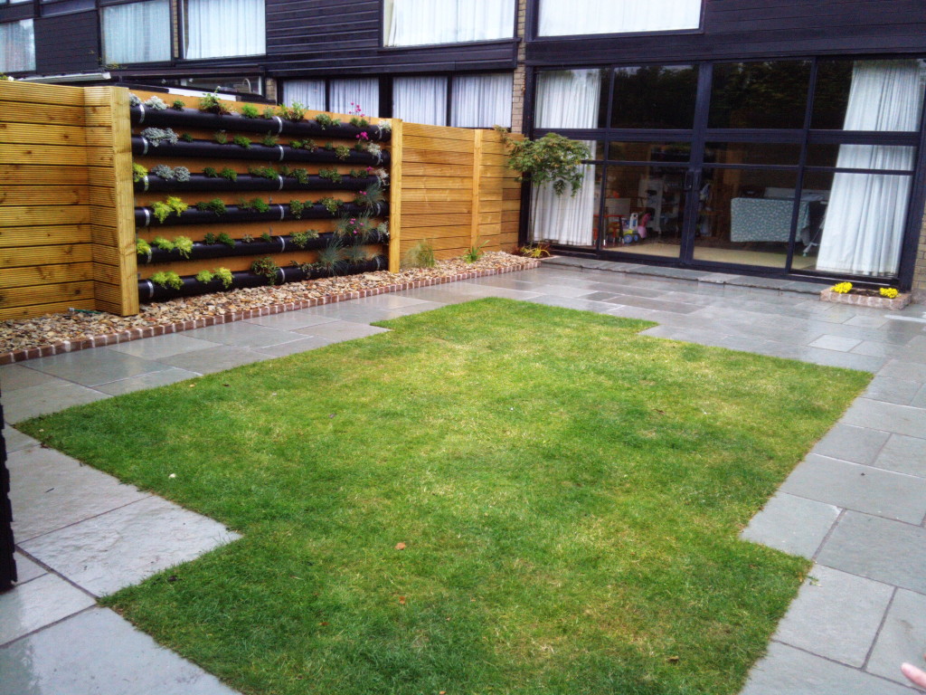 Japanese Knotweed Removal & John Butler Landscaping Services