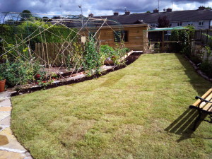 Garden Features | Japanese Knotweed Removal & John Butler Landscaping Services