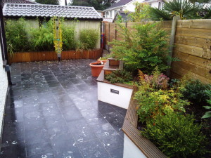 Japanese Knotweed Removal & John Butler Landscaping Services