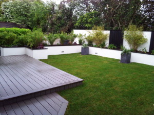 Japanese Knotweed Removal & John Butler Landscaping Services