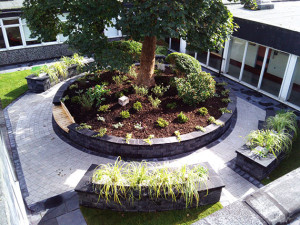 Japanese Knotweed Removal & John Butler Landscaping Services