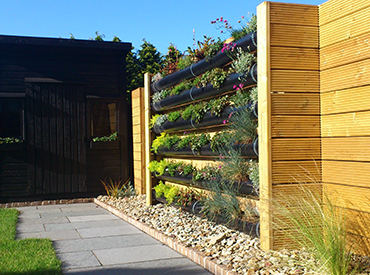 Japanese Knotweed Removal , Decking, Living Walls, Paving, Landscaping Services